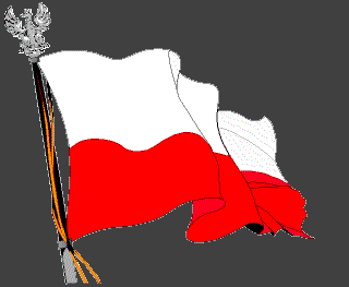 Duża flaga Polski